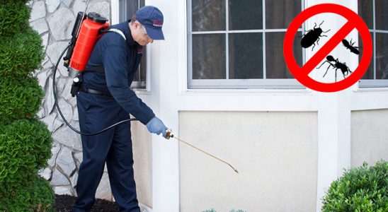 Kadışehri Gümüşkurt İlaçlama böcek ilaçlama ve haşere kontrolü — ilaclama-tr.com